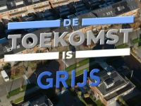 De Toekomst is Grijs - De grijze tweedeling