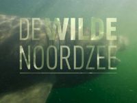 De Wilde Noordzee - Open zee
