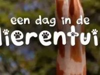 Een dag in de Dierentuin - 1-8-2012