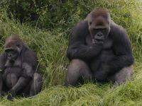 Een dag in de Dierentuin - 16-11-2025