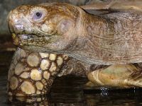 Een dag in de Dierentuin - 23-11-2025