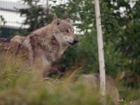 Een dag in de Dierentuin - 23-11-2025