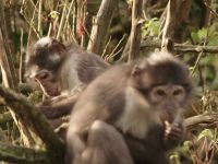 Een dag in de Dierentuin - 23-11-2025