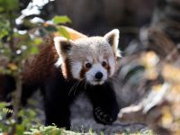 Een dag in de Dierentuin - 23-11-2025