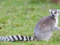 Een dag in de Dierentuin - 30-11-2025