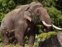 Een dag in de Dierentuin - 30-11-2025