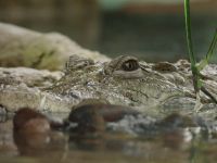 Een dag in de Dierentuin - 9-11-2025