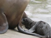 Een dag in de Dierentuin - 9-11-2025