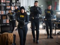FBI - Partner