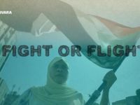 Fight or Flight - Irak