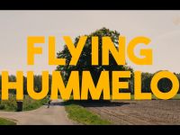 Flying Hummelo - Vrienden of vijanden?