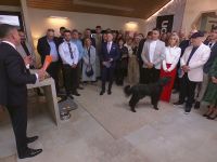 Het Blok Australië - Auction - Part 1