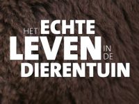 Het Echte Leven in de Dierentuin - 10-5-2025