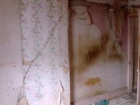 Homes under the Hammer - Homecoming for Dion