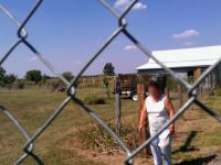 Hufters op Beeld: Bizarre buren - Good Fences, Bad Neighbors