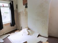 Huizen onder de Hamer - A Tiger on the Loose!