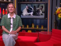 Lachen om Home Video's - 28-3-2026