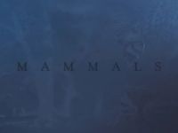 Mammals - Water