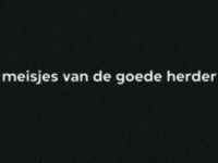 Meisjes van de Goede Herder - Verdienmodel