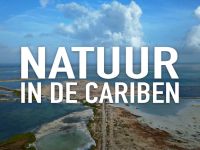 Natuur in de Cariben - Sint Eustatius