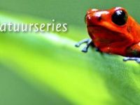 Natuur op 2 - Jungles