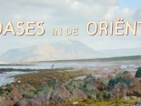 Oases - Djibouti