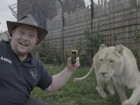 One Zoo Three - Clever Communication