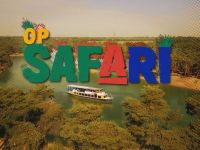 Op Safari - Gorilla en kuifmangabey