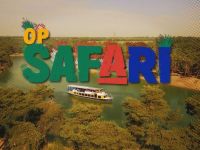 Op Safari - Koereigers en Grielen