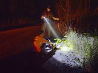 Overtreders USA - Man's Best Friend