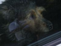 Overtreders - 2-2-2026