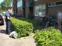 Overtreders - 6-6-2025