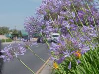 Property Brothers: de grote renovatie - A Home Fit for Superheroes