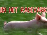 Rudi het racevarken - De grote race