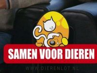 Samen voor Dieren - Stichting Zwerfkatten Nederland