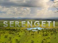 Serengeti - Nieuw leven