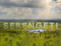 Serengeti - Spanning