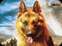 Snuf de hond - In oorlogstijd (2)