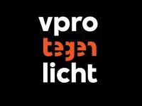Tegenlicht - De consultant regeert