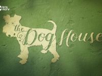 The Dog House - 10-11-2020