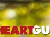 The Heart Guy - Reasonable Doubt