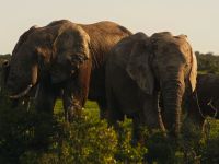 Travelbook Reist Verder - Zuid-Afrika - Deel 2