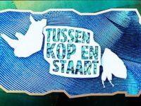 Tussen Kop & Staart - 11-6-2023