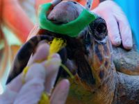 Unbelievable moments: Caught on Camera - 1-2-2026