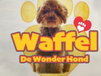 Waffel de Wonderhond - Het verhaal van ridder Waffel