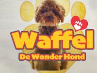 Waffel de Wonderhond - Waffels hondenmaatjes