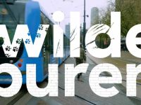 Wilde Buren - Wild zwijn