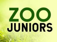 Zoo Juniors - 1-7-2021