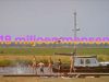18 miljoen mensen - Borssele