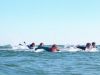 BaywatchShark Derby